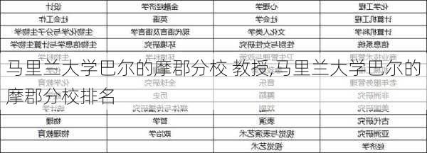 马里兰大学巴尔的摩郡分校 教授,马里兰大学巴尔的摩郡分校排名