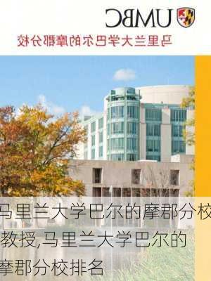 马里兰大学巴尔的摩郡分校 教授,马里兰大学巴尔的摩郡分校排名