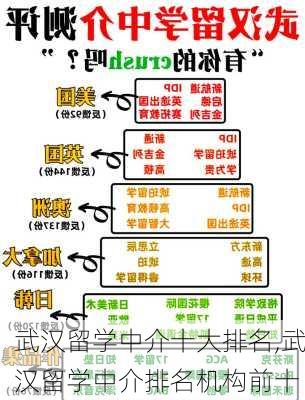 武汉留学中介十大排名,武汉留学中介排名机构前十