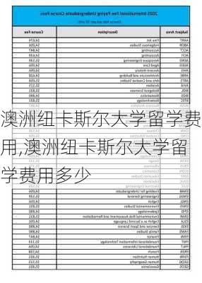 澳洲纽卡斯尔大学留学费用,澳洲纽卡斯尔大学留学费用多少