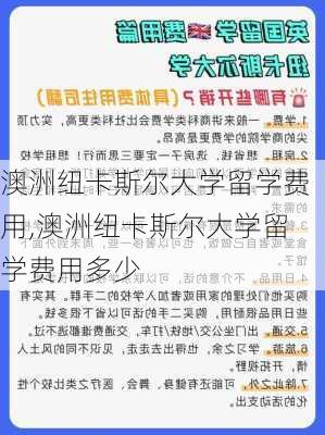 澳洲纽卡斯尔大学留学费用,澳洲纽卡斯尔大学留学费用多少