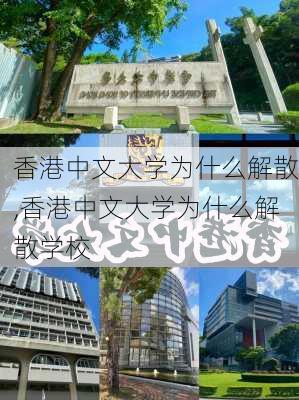 香港中文大学为什么解散,香港中文大学为什么解散学校