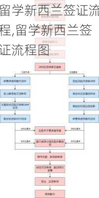 留学新西兰签证流程,留学新西兰签证流程图