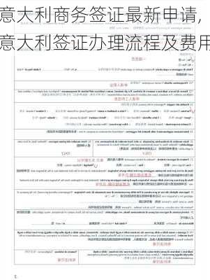 意大利商务签证最新申请,意大利签证办理流程及费用