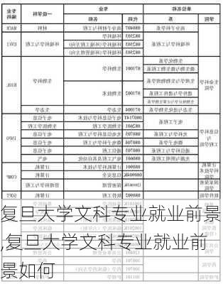 复旦大学文科专业就业前景,复旦大学文科专业就业前景如何