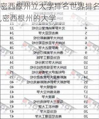 密西根州立大学排名世界排名,密西根州的大学