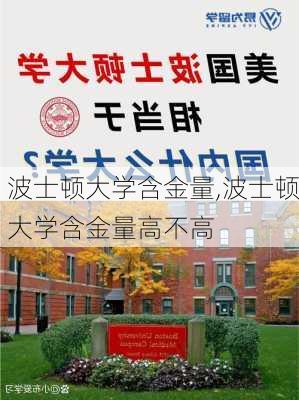 波士顿大学含金量,波士顿大学含金量高不高