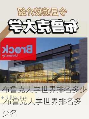 布鲁克大学世界排名多少,布鲁克大学世界排名多少名