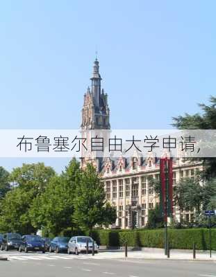 布鲁塞尔自由大学申请,