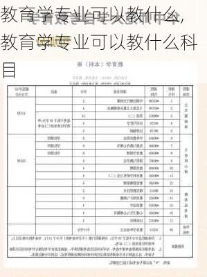 教育学专业可以教什么,教育学专业可以教什么科目