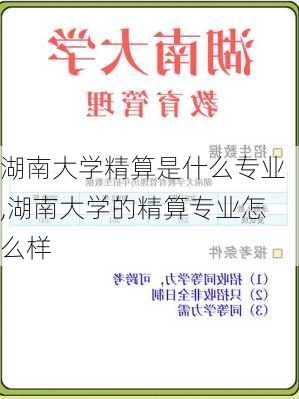 湖南大学精算是什么专业,湖南大学的精算专业怎么样