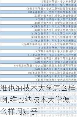 维也纳技术大学怎么样啊,维也纳技术大学怎么样啊知乎