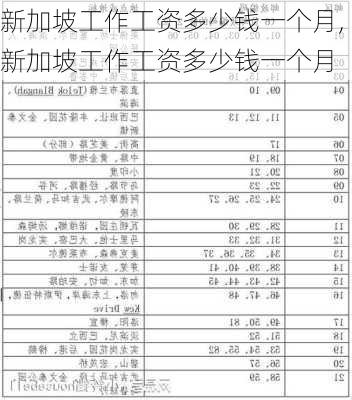 新加坡工作工资多少钱一个月,新加坡工作工资多少钱一个月