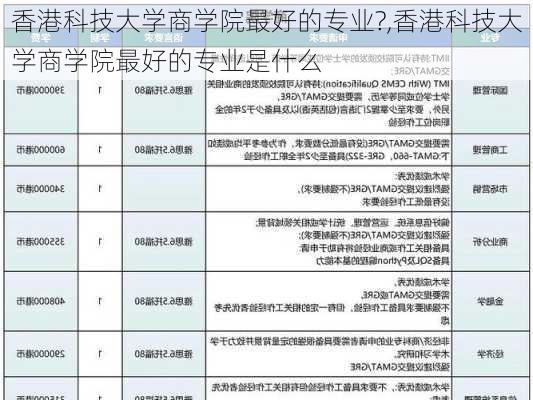 香港科技大学商学院最好的专业?,香港科技大学商学院最好的专业是什么