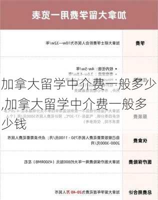 加拿大留学中介费一般多少,加拿大留学中介费一般多少钱