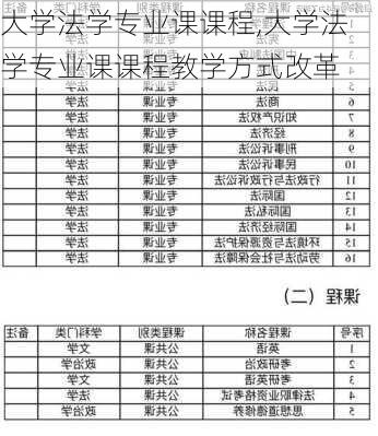 大学法学专业课课程,大学法学专业课课程教学方式改革