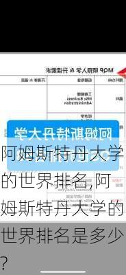 阿姆斯特丹大学的世界排名,阿姆斯特丹大学的世界排名是多少?