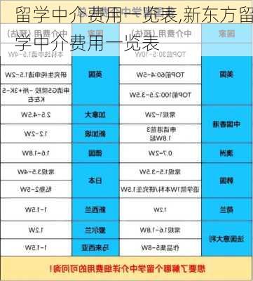 留学中介费用一览表,新东方留学中介费用一览表