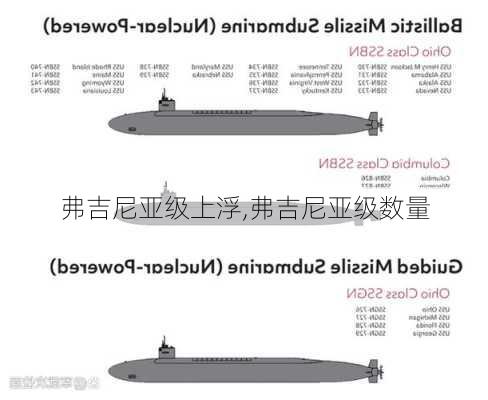 弗吉尼亚级上浮,弗吉尼亚级数量