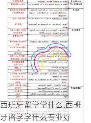 西班牙留学学什么,西班牙留学学什么专业好