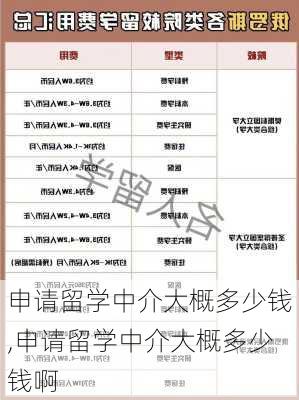 申请留学中介大概多少钱,申请留学中介大概多少钱啊