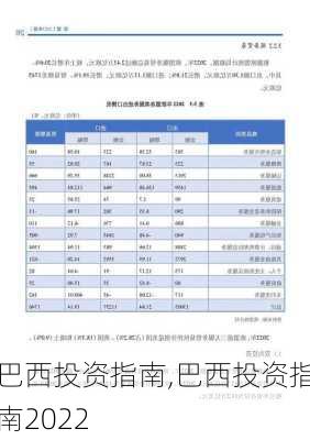 巴西投资指南,巴西投资指南2022