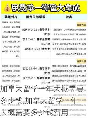 加拿大留学一年大概需要多少钱,加拿大留学一年大概需要多少钱费用