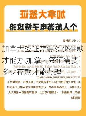 加拿大签证需要多少存款才能办,加拿大签证需要多少存款才能办理