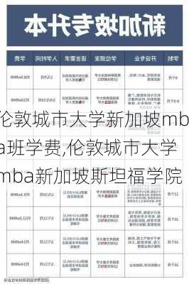 伦敦城市大学新加坡mba班学费,伦敦城市大学mba新加坡斯坦福学院