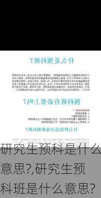 研究生预科是什么意思?,研究生预科班是什么意思?