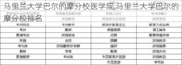 马里兰大学巴尔的摩分校医学院,马里兰大学巴尔的摩分校排名