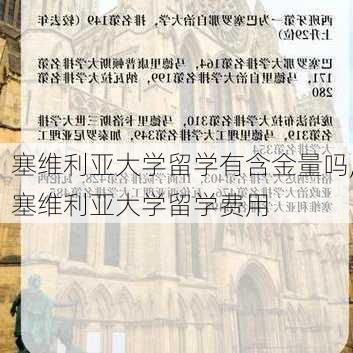 塞维利亚大学留学有含金量吗,塞维利亚大学留学费用