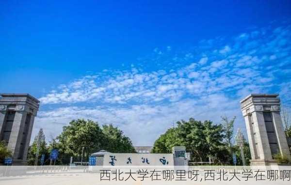 西北大学在哪里呀,西北大学在哪啊