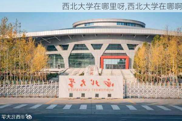 西北大学在哪里呀,西北大学在哪啊