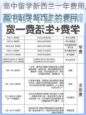 高中留学新西兰一年费用,高中留学新西兰的费用