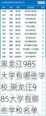 黑龙江985大学有哪些学校,黑龙江985大学有哪些学校名单