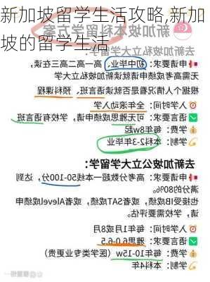 新加坡留学生活攻略,新加坡的留学生活