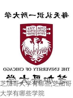 芝加哥大学有哪些,芝加哥大学有哪些学院