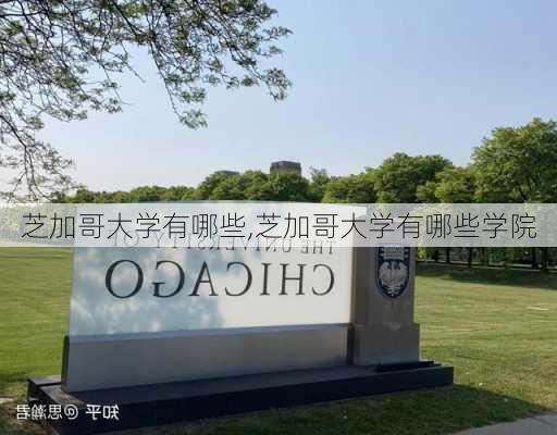 芝加哥大学有哪些,芝加哥大学有哪些学院