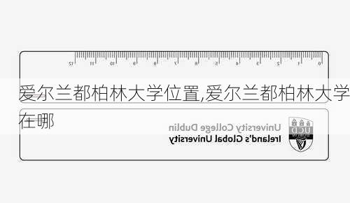 爱尔兰都柏林大学位置,爱尔兰都柏林大学在哪