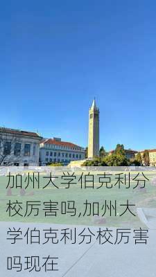 加州大学伯克利分校厉害吗,加州大学伯克利分校厉害吗现在