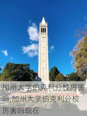 加州大学伯克利分校厉害吗,加州大学伯克利分校厉害吗现在