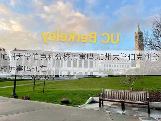 加州大学伯克利分校厉害吗,加州大学伯克利分校厉害吗现在