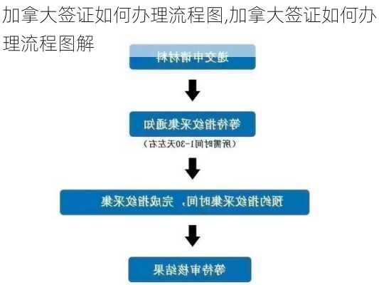 加拿大签证如何办理流程图,加拿大签证如何办理流程图解