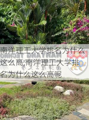 南洋理工大学排名为什么这么高,南洋理工大学排名为什么这么高呢