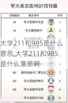 大学211和985是什么意思,大学211和985是什么意思啊