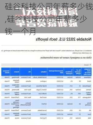 硅谷科技公司年薪多少钱,硅谷科技公司年薪多少钱一个月