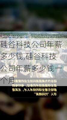 硅谷科技公司年薪多少钱,硅谷科技公司年薪多少钱一个月