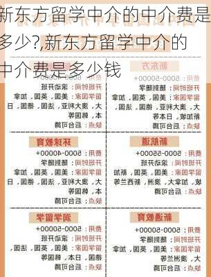 新东方留学中介的中介费是多少?,新东方留学中介的中介费是多少钱