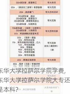 东华大学拉萨尔学院学费,东华大学拉萨尔学院大专还是本科?